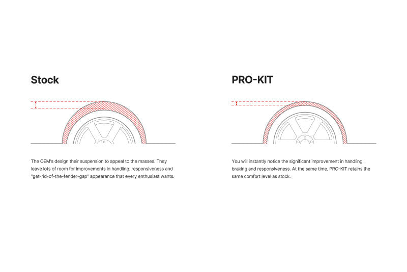 Eibach Pro-Kit EV for 24-25 Tesla Model Y RWD