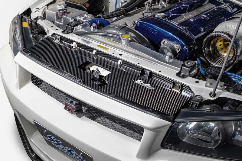 GReddy Garage 99-02 Nissan Skyline GT-R Carbon Cooling Panel R34